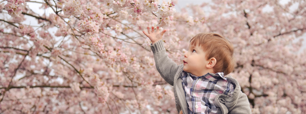 Boy in Blossoms-01