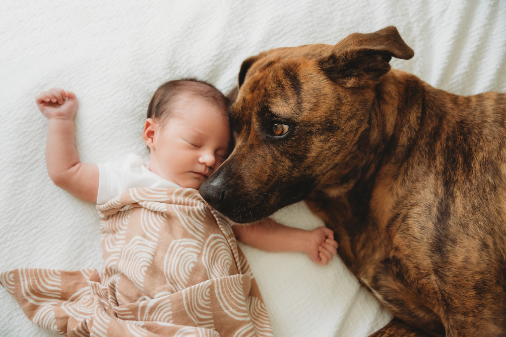 Newborn Photographer - Portland Oregon